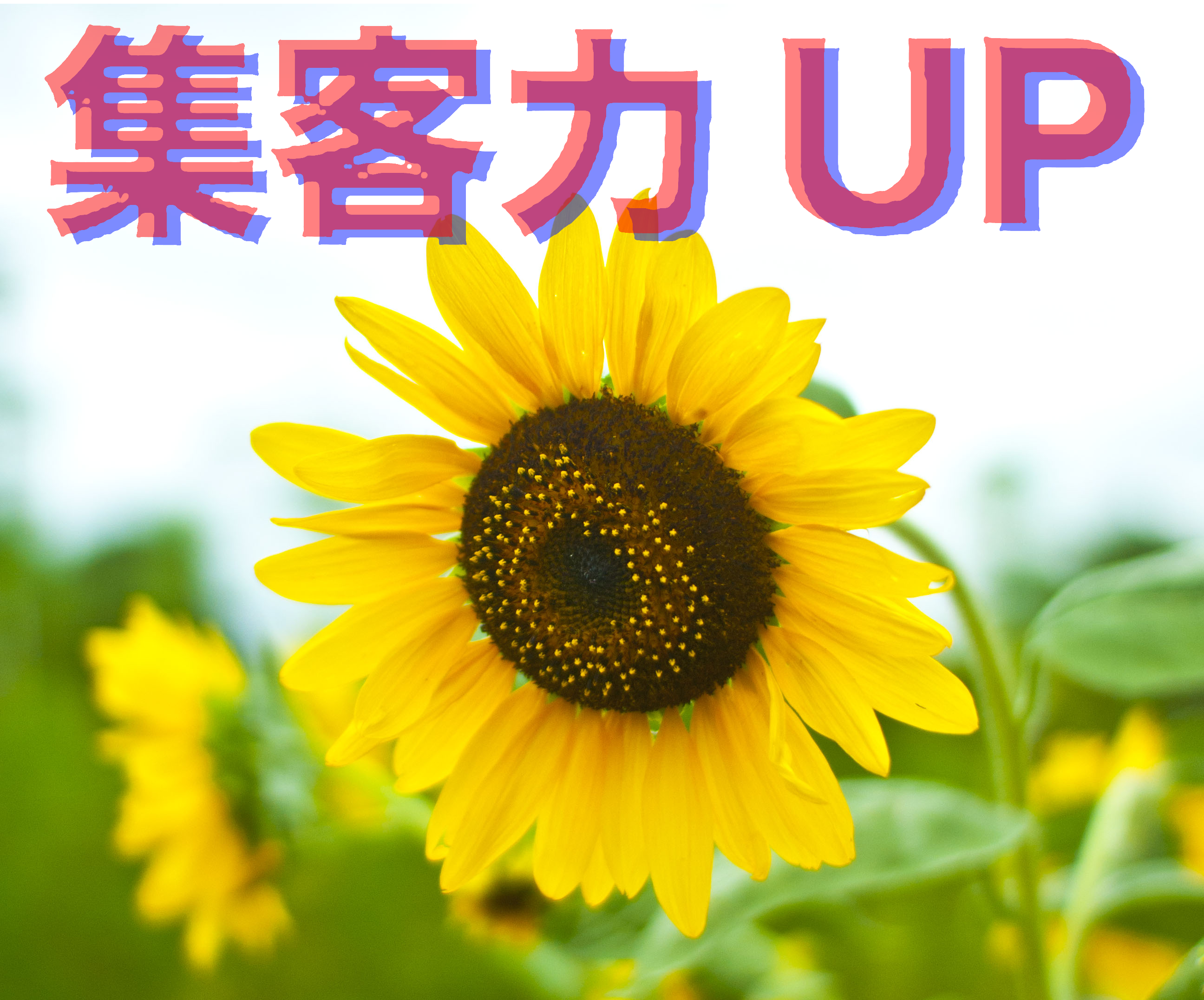 集客力UP